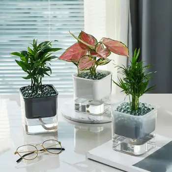 Transparent Automatic Convenient Practical Attractive Creative Water Absorption Square Flowerpot Plant Pot Container
Transparent Automatic Convenient Practical Attractive Creative Water Absorption Square Flowerpot Plant Pot Container