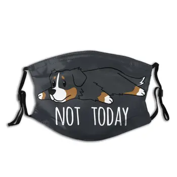 Not Today Bernese Mountain Dog Non-Disposable Face Mask Print Anti Haze Dust Mask Protection Cover Respirator Mouth Muffle
Not Today Bernese Mountain Dog Non-Disposable Face Mask Print Anti Haze Dust Mask Protection Cover Respirator Mouth Muffle
