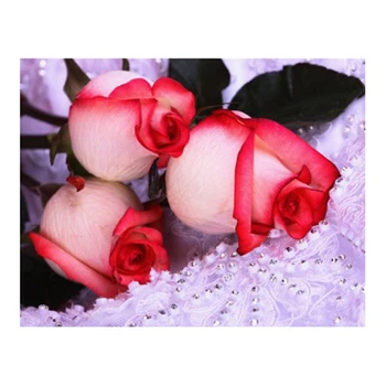 Diamond Full Display Rhinestones Pictures Diamond Painting Rose Diamond Embroidery Flowers Hobbies and Crafts
Diamond Full Display Rhinestones Pictures Diamond Painting Rose Diamond Embroidery Flowers Hobbies and Crafts