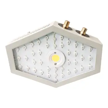 Plants LED Grow Light Full Spectrum 1000W Double Chip Red/Blue/UV/IR Lateral Angle Light For Indoor Plants VEG BLOOM
Plants LED Grow Light Full Spectrum 1000W Double Chip Red/Blue/UV/IR Lateral Angle Light For Indoor Plants VEG BLOOM