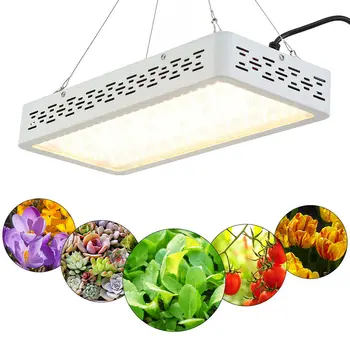 1000W LED Grow Light Sunlike Full Spectrum Indoor Plants Veg Bloom Indoor Lamp
1000W LED Grow Light Sunlike Full Spectrum Indoor Plants Veg Bloom Indoor Lamp