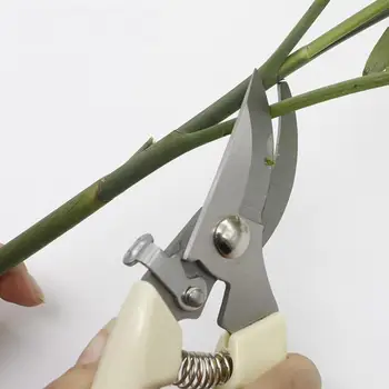 Gardening pruning shears, pruning branches, fruit trees, flowers, branch scissors, graft cutting tools
Gardening pruning shears, pruning branches, fruit trees, flowers, branch scissors, graft cutting tools