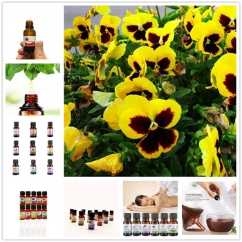 100% Pure Natural Plant Essential Oils for Aromatherapy Diffusers Saffron Essential Oils Organic Body Relieve Stress TSLM26
100% Pure Natural Plant Essential Oils for Aromatherapy Diffusers Saffron Essential Oils Organic Body Relieve Stress TSLM26