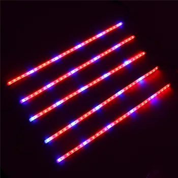 High Power 5PCS 50CM R:B 5:1 SMD5050 LED Strip Grow Light Full Spectrum Plant Lamp Hydroponic Indoor Veg Flower Plant Lamp DC12V
High Power 5PCS 50CM R:B 5:1 SMD5050 LED Strip Grow Light Full Spectrum Plant Lamp Hydroponic Indoor Veg Flower Plant Lamp DC12V