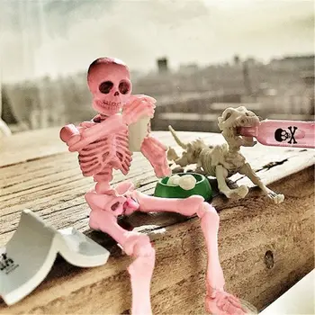Active Human skeleton Model Anatomy Skeleton Skeleton Model student Learning Halloween Party Decoration Skeleton Art Sketch
Active Human skeleton Model Anatomy Skeleton Skeleton Model student Learning Halloween Party Decoration Skeleton Art Sketch