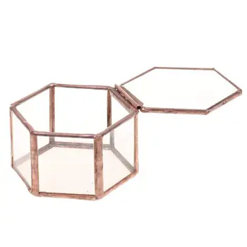 New Geometric Glass Terrarium Box Jewelry Box Glass Succulent Plant Pot Deco Hexagon Shape
New Geometric Glass Terrarium Box Jewelry Box Glass Succulent Plant Pot Deco Hexagon Shape