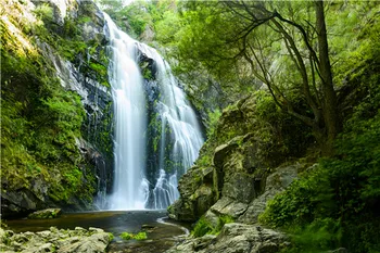 Vinyl Custom Photography Backdrops Props Photo Studio Waterfall theme Background 20228-01
Vinyl Custom Photography Backdrops Props Photo Studio Waterfall theme Background 20228-01
