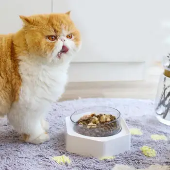 GloryStar Pet Hexagonal Inclined Bowl Eating/Drinking Feeder with Separate Design for Cat
GloryStar Pet Hexagonal Inclined Bowl Eating/Drinking Feeder with Separate Design for Cat