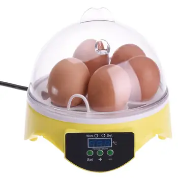 Mini Egg Incubator Automatic Incubator Duck Bird Egg Small Poultry Incubator Digital Chicken Breeding Box Easy To Control
Mini Egg Incubator Automatic Incubator Duck Bird Egg Small Poultry Incubator Digital Chicken Breeding Box Easy To Control