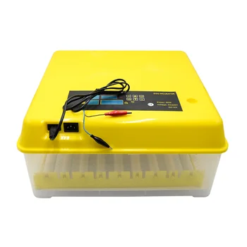 56 Chicken Eggs Hatching-Machine With Roller Incubator For Poultry Farm Egg
56 Chicken Eggs Hatching-Machine With Roller Incubator For Poultry Farm Egg