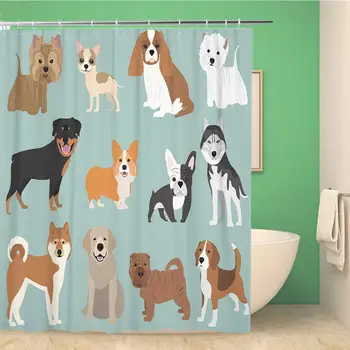 Bathroom Shower Curtain Species of The Breeds Dogs Corgi Akita French Bulldog Polyester Fabric 66x72 inches Waterproof Bath
Bathroom Shower Curtain Species of The Breeds Dogs Corgi Akita French Bulldog Polyester Fabric 66x72 inches Waterproof Bath