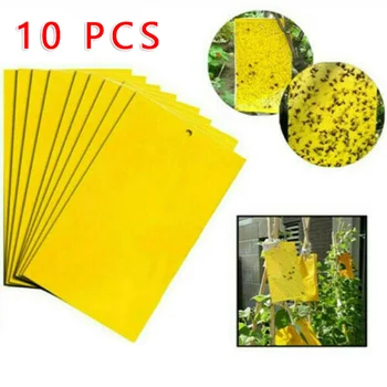 10Pcs Sticky Fly Trap Paper Yellow Traps Fruit Flies Insect Glue Catcher Fly Trap Board Pest Control Kitchen Farm Plant Garden
10Pcs Sticky Fly Trap Paper Yellow Traps Fruit Flies Insect Glue Catcher Fly Trap Board Pest Control Kitchen Farm Plant Garden