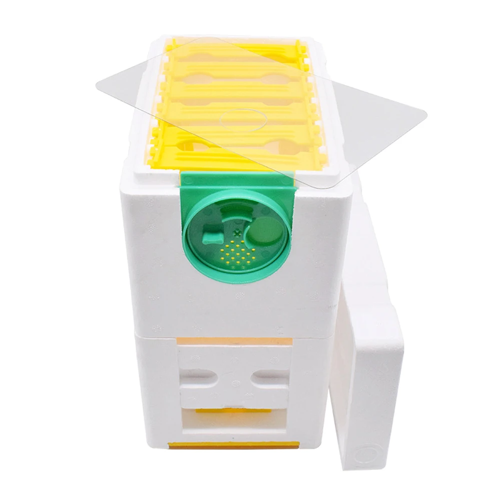 Honey Beehive Frames Beekeeping Box Bee Hive King Pollination Box Bee Mating Copulation Box For Farm Beekeeping Equipment Hot
Honey Beehive Frames Beekeeping Box Bee Hive King Pollination Box Bee Mating Copulation Box For Farm Beekeeping Equipment Hot