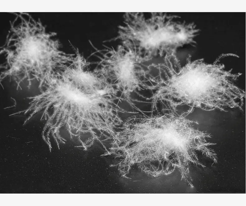 -30-Degree-Christmas-Warm-Teens-Winter-Kids-Jackets-Teenage-Girls-Winter-Coat-White-Duck-Down-Clothing-Parka-Kids-Snowsuit-2019-(2)