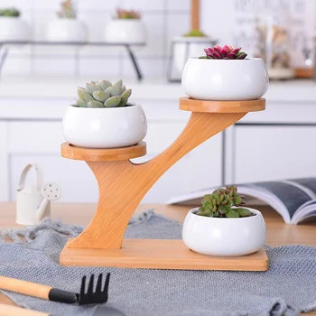 Ceramic Owl Pattern Flowerpots White Ceramic Succulent Plant Pot with Bamboo Stand Home Office Deaktop Decor 2020
Ceramic Owl Pattern Flowerpots White Ceramic Succulent Plant Pot with Bamboo Stand Home Office Deaktop Decor 2020