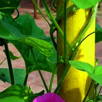 Garden Plants Climbing Net Durable Practical Multi-functional Classic Nylon Flower Vine Netting Support Plant Grow Holder
Garden Plants Climbing Net Durable Practical Multi-functional Classic Nylon Flower Vine Netting Support Plant Grow Holder