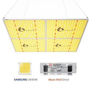 Archibald AR4000 450W High Grade LED Grow Light 872pcs Diodes Full Spectrum Samsung LM301B Meanwell Driver ELG For Plants
Archibald AR4000 450W High Grade LED Grow Light 872pcs Diodes Full Spectrum Samsung LM301B Meanwell Driver ELG For Plants