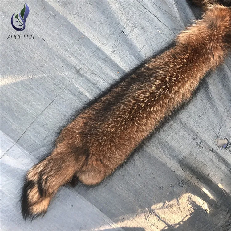 Raccoon skin25