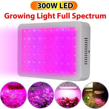 300W 3974 Lumens 60Pcs LED Full Spectrum Grow Led Lights for Veg Flower Plant Growth Planting Cultivating Flower Panel Bulb
300W 3974 Lumens 60Pcs LED Full Spectrum Grow Led Lights for Veg Flower Plant Growth Planting Cultivating Flower Panel Bulb