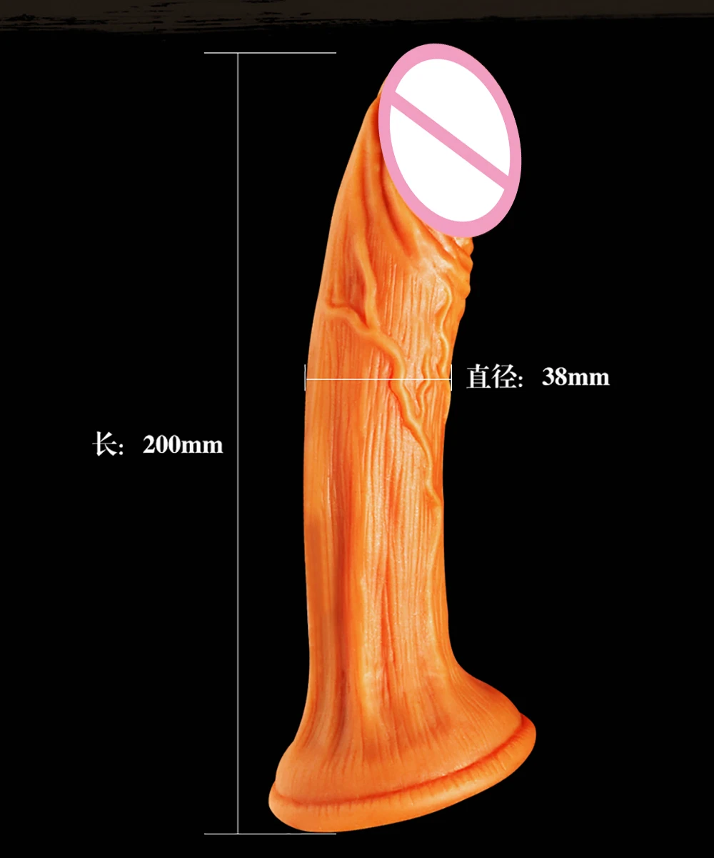 790_13