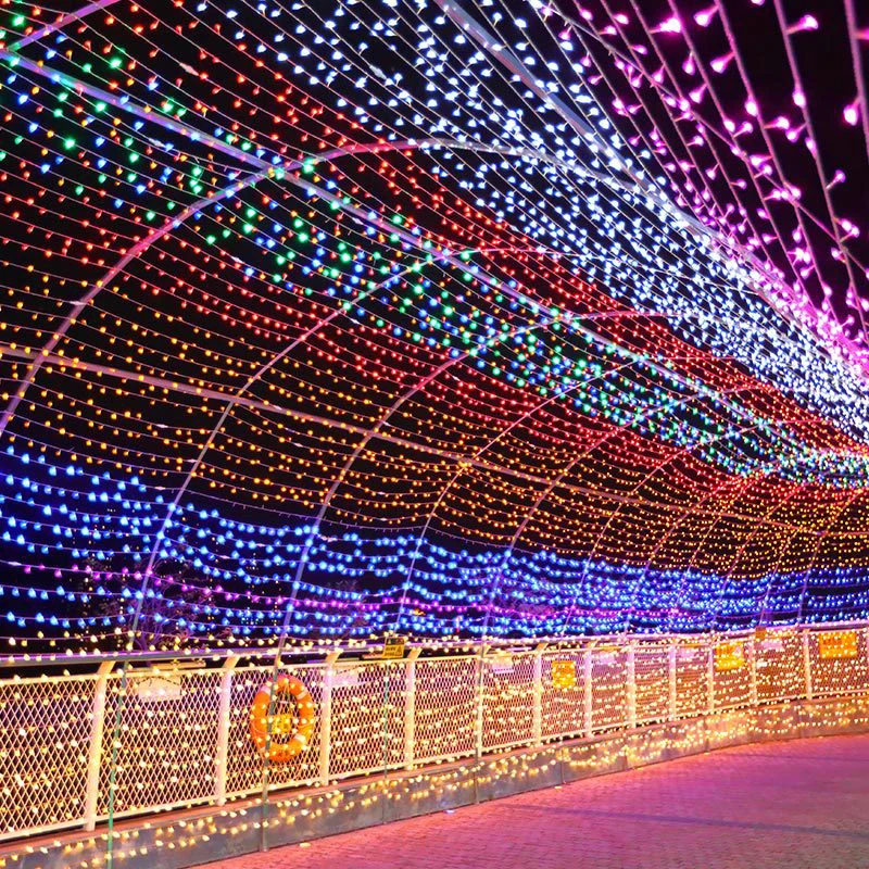 10m 100 led christmas string light Waterproof EU plug (9)