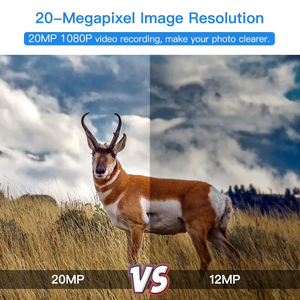 12 mp resolution