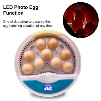 Egg Incubator Automatic Incubator Digital Egg Breeder Home One-button Automatic Digital Duck Egg Breeder Poultry Hatchery Device
Egg Incubator Automatic Incubator Digital Egg Breeder Home One-button Automatic Digital Duck Egg Breeder Poultry Hatchery Device