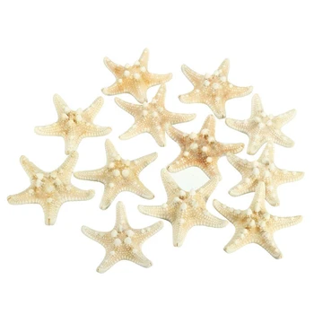 12 x White Knobby Starfish 5cm -7cm Sea Star Shell Beach Wedding Display Craft Decor
12 x White Knobby Starfish 5cm -7cm Sea Star Shell Beach Wedding Display Craft Decor