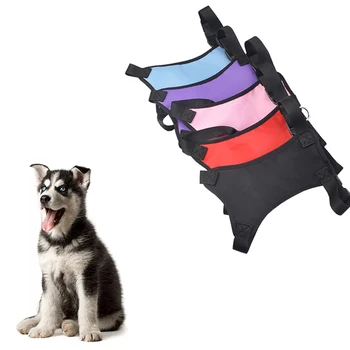 Multicolor New Fashion Pet Dog Vehicle Harnesses Wiring Harness Safety Mesh Chest Strap Multi-function Pet Car Chest Pet Supplie
Multicolor New Fashion Pet Dog Vehicle Harnesses Wiring Harness Safety Mesh Chest Strap Multi-function Pet Car Chest Pet Supplie