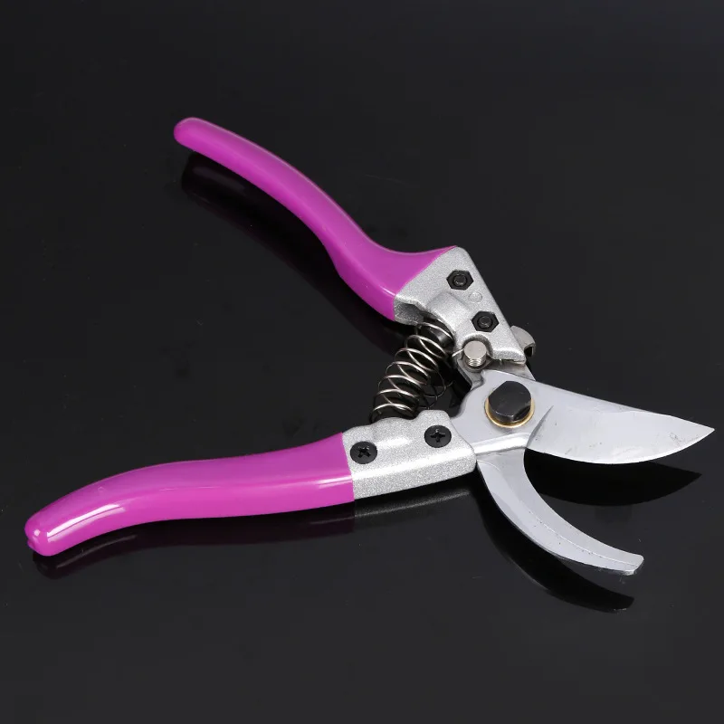 Pruning Shears Professional Handguard Steel Blade Rose Gardening Scissors Hand Pruners Tools
Pruning Shears Professional Handguard Steel Blade Rose Gardening Scissors Hand Pruners Tools