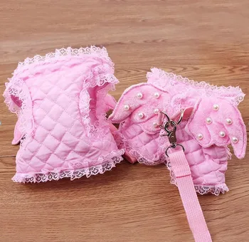 Cat Harness Angel Wings With Lead Leash
Cat Harness Angel Wings With Lead Leash