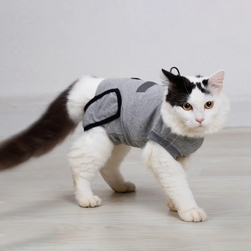 Pet Cat Dog Sterilization Weaning Anti-licking Clothes Post-Operation Clothes Pet Surgical Gown Coat
Pet Cat Dog Sterilization Weaning Anti-licking Clothes Post-Operation Clothes Pet Surgical Gown Coat