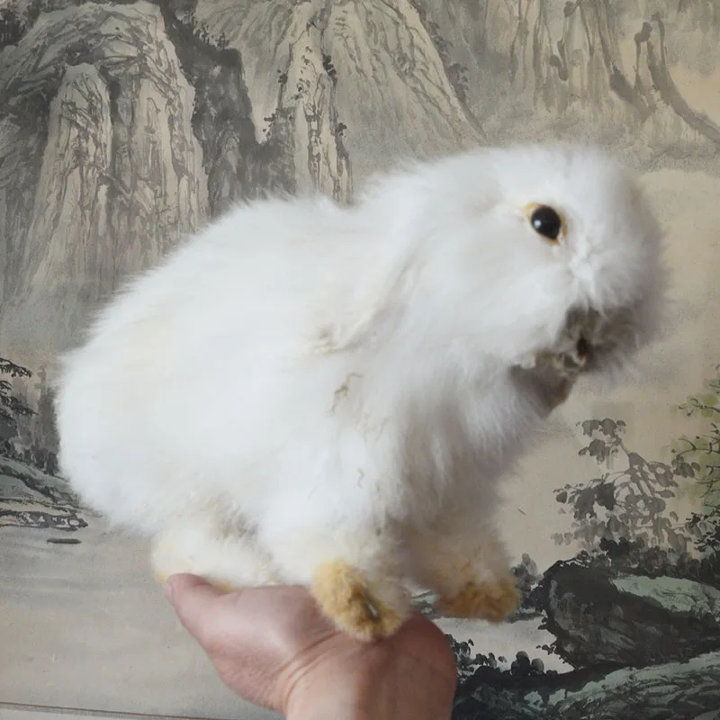 1 adet rastgele gercek tahnitcilik doldurma lop kulakli tavsan tavsan kurk numune ogretim dekorasyon aliexpress