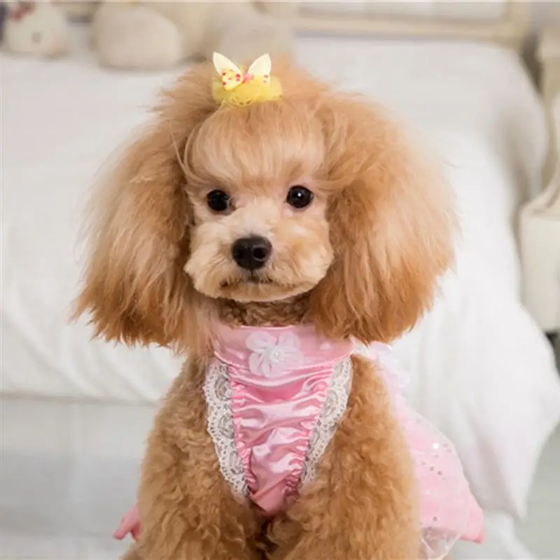 1pcs Dog Cat Cute Hairpin Pet Dog Accessories Supplies Hairpin Fashion Bowknot Dog Hair Clip Headdress Pet Hair Decoration 
1pcs Dog Cat Cute Hairpin Pet Dog Accessories Supplies Hairpin Fashion Bowknot Dog Hair Clip Headdress Pet Hair Decoration