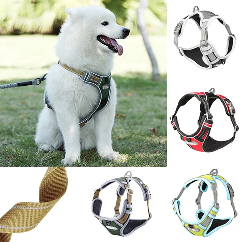 Nylon Dog Chest Harness Dogs Lead Collars Adjustable Breathable Pets Leash Collar Belt Puppy for Large Medium Small Dog Vests
Nylon Dog Chest Harness Dogs Lead Collars Adjustable Breathable Pets Leash Collar Belt Puppy for Large Medium Small Dog Vests