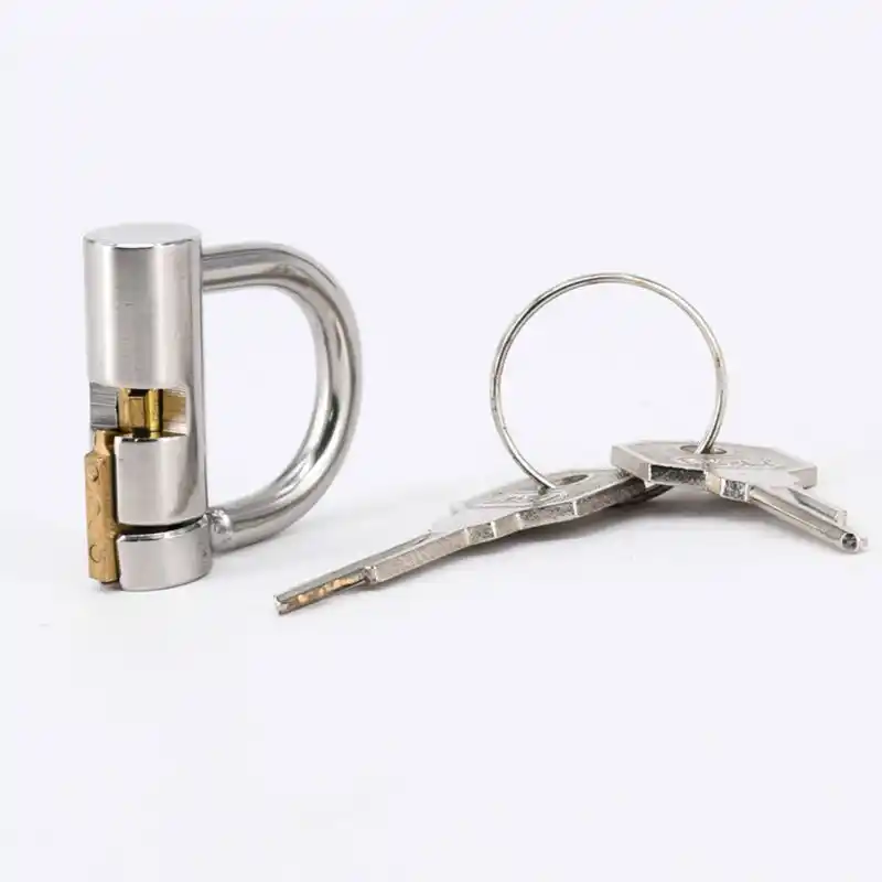 Stainless Steel Titanium D Ring Pa Lock Glans Piercing Male Chastity Device Penis Harness Restraint Leashes Fitting Pa Puncture Penis Rings Aliexpress