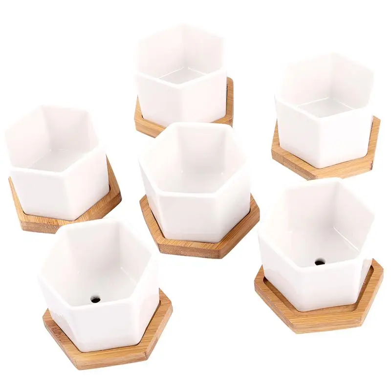 12 Pcs in 1 Set Succulent Plant Pots Mini Succulent Planter Ceramic Flower Planter Pot with Bamboo Trays
12 Pcs in 1 Set Succulent Plant Pots Mini Succulent Planter Ceramic Flower Planter Pot with Bamboo Trays