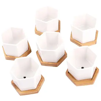 12 Pcs in 1 Set Succulent Plant Pots Mini Succulent Planter Ceramic Flower Planter Pot with Bamboo Trays
12 Pcs in 1 Set Succulent Plant Pots Mini Succulent Planter Ceramic Flower Planter Pot with Bamboo Trays