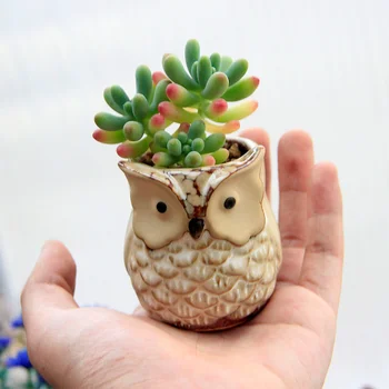 Animal Owl Shaped Flower Pot for Succulent Plants Ceramic Potted Vase Home Office Decor Planter Desktop Flowerpot Garden Pots
Animal Owl Shaped Flower Pot for Succulent Plants Ceramic Potted Vase Home Office Decor Planter Desktop Flowerpot Garden Pots
