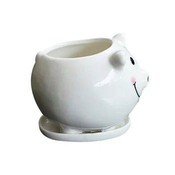 1pc Flowerpot Lovely Ceramic Cartoon Pig Bryophytes Plant Succulent Pot Basin for Garden Balcony Desktop Bar Hotel
1pc Flowerpot Lovely Ceramic Cartoon Pig Bryophytes Plant Succulent Pot Basin for Garden Balcony Desktop Bar Hotel