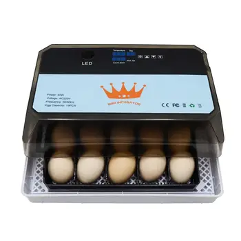 40W New 15 Egg Incubator Digital Fully Automatic Incubator Poultry Hatcher Machine For Chickens Ducks Goose Birds
40W New 15 Egg Incubator Digital Fully Automatic Incubator Poultry Hatcher Machine For Chickens Ducks Goose Birds
