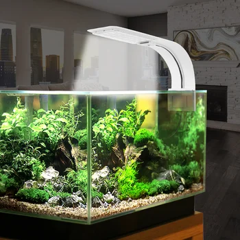 Aquarium Light for Fish Tank Planted Aquarium 10W White Color LED Lights for Aquarium LED Lighting Anti-Fog Clip-On Pet Lamps
Aquarium Light for Fish Tank Planted Aquarium 10W White Color LED Lights for Aquarium LED Lighting Anti-Fog Clip-On Pet Lamps
