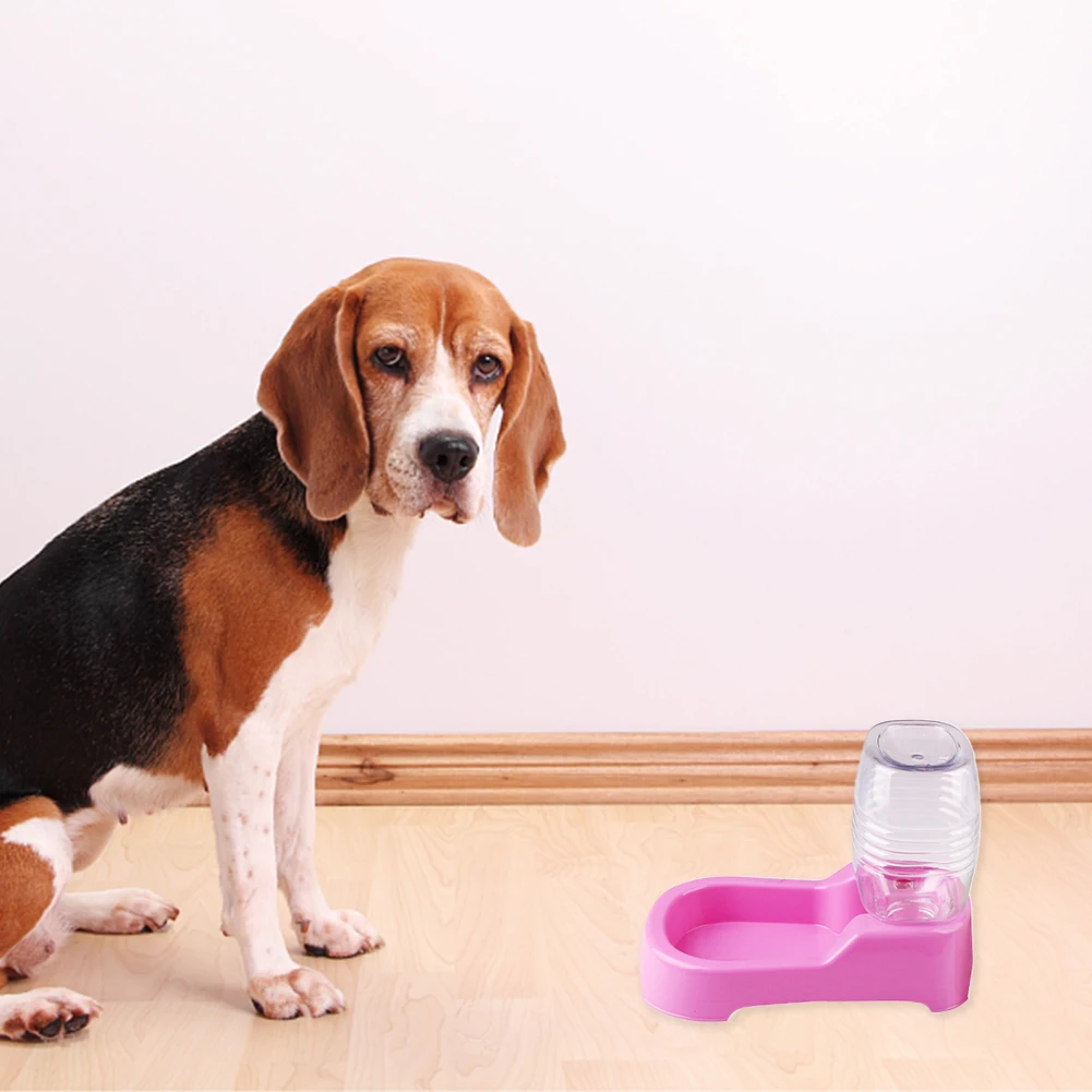 Sell Simple And Cute Appearance 500ml Strong And Not Fragile Pet Bowl Drinker Automatic Water Refill Without Leakage
Sell Simple And Cute Appearance 500ml Strong And Not Fragile Pet Bowl Drinker Automatic Water Refill Without Leakage