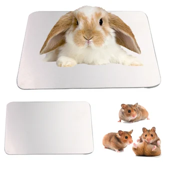 Small Pet Cooling Pad Summer Cooling Mat Hamster Guinea Pig Squirrel Chinchilla Pet Hamster Mat LBShipping
Small Pet Cooling Pad Summer Cooling Mat Hamster Guinea Pig Squirrel Chinchilla Pet Hamster Mat LBShipping