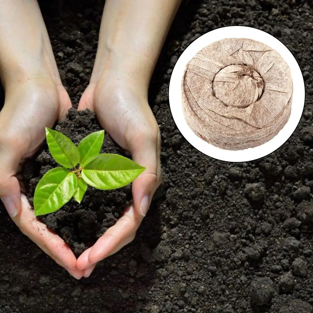 20pcs Nursery Block Nutrition Block Compressed Compressed Peat Block Magic Soil Medium With Packaging Nursery Block
20pcs Nursery Block Nutrition Block Compressed Compressed Peat Block Magic Soil Medium With Packaging Nursery Block