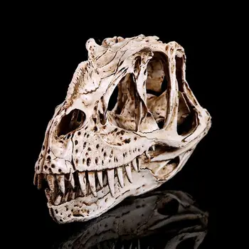 Ceratosaurus Dinosaur Skull Resin Crafts Fossil Skeleton Teaching Model Halloween Home Office Decoration
Ceratosaurus Dinosaur Skull Resin Crafts Fossil Skeleton Teaching Model Halloween Home Office Decoration
