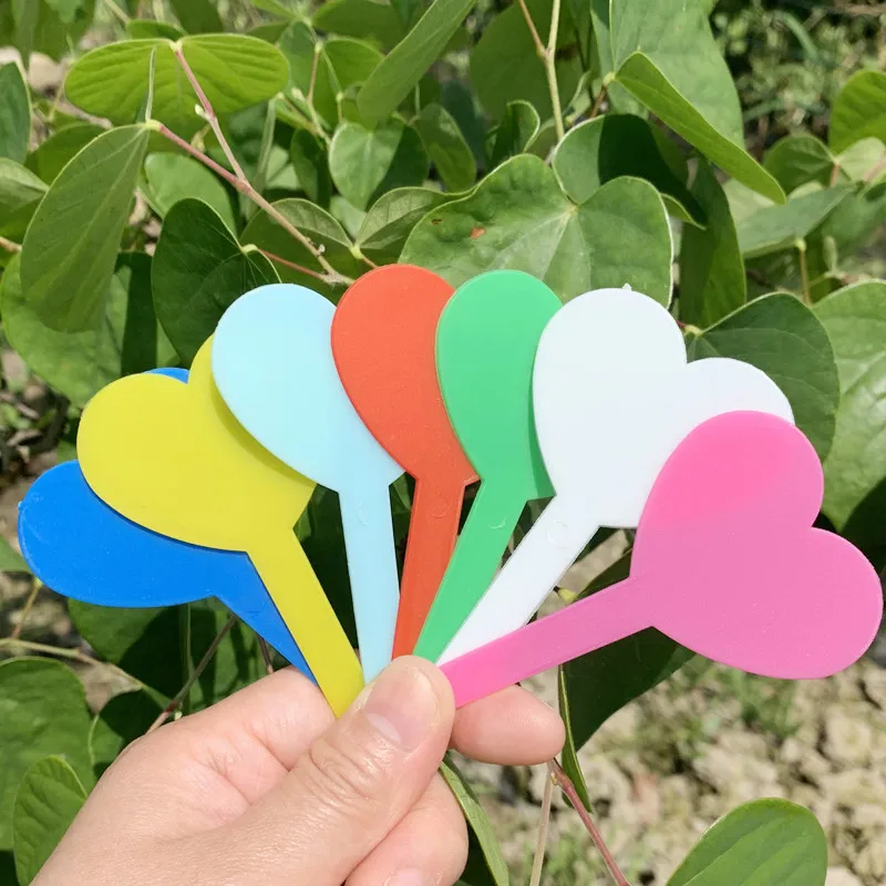 Heart Shape PVC Waterproof Plant Labels Floral Marker Tag Plant Name Brand Garden Supplies Gardening Botany Love Label
Heart Shape PVC Waterproof Plant Labels Floral Marker Tag Plant Name Brand Garden Supplies Gardening Botany Love Label