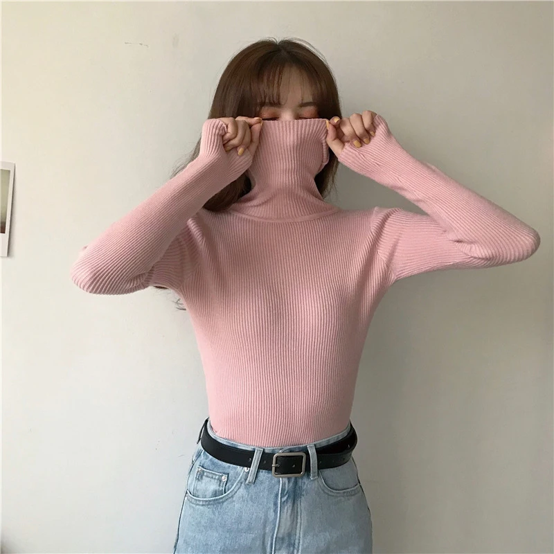 2020 Turtlenecks Sweater Women Autumn Winter Casual Long Sleeve Knitted Pullover Elegant Slim Fit Basic Sweater Women's Clothing
2020 Turtlenecks Sweater Women Autumn Winter Casual Long Sleeve Knitted Pullover Elegant Slim Fit Basic Sweater Women's Clothing