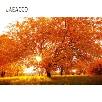 Laeacco Photographic Backgrounds Autumn Old Tree Maple Yellow Sunshine Scenic Photo Backdrops Photocall For Photo Studio 
Laeacco Photographic Backgrounds Autumn Old Tree Maple Yellow Sunshine Scenic Photo Backdrops Photocall For Photo Studio