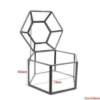 Clear Glass & Brass-Tone Metal Hinged Top Lid Terrarium Box/Tabletop Display Case
Clear Glass & Brass-Tone Metal Hinged Top Lid Terrarium Box/Tabletop Display Case